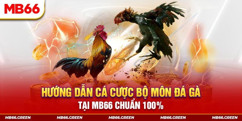 betvnd kết quả xổ số miền bắc ngày hôm nay