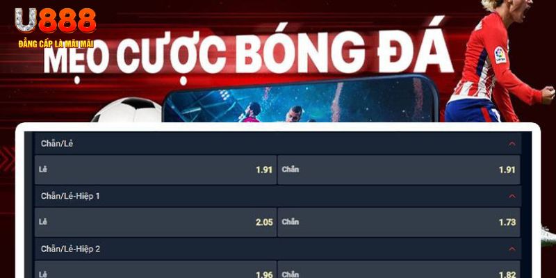 betvnd what are casino games