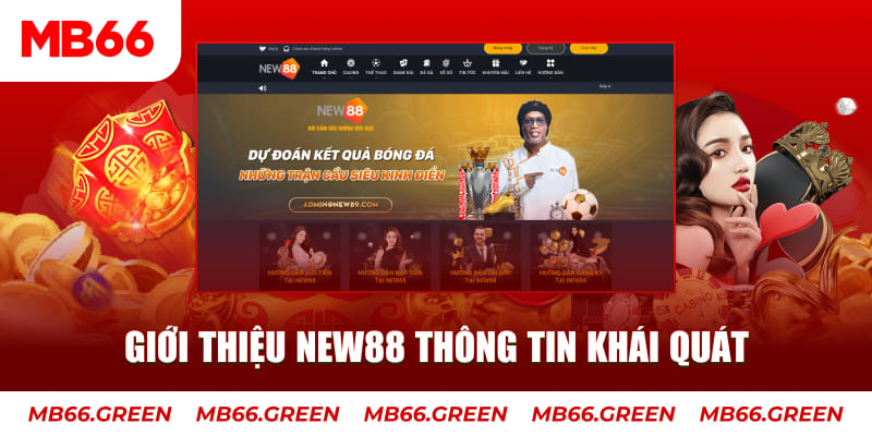 betvnd c1 gà chọi