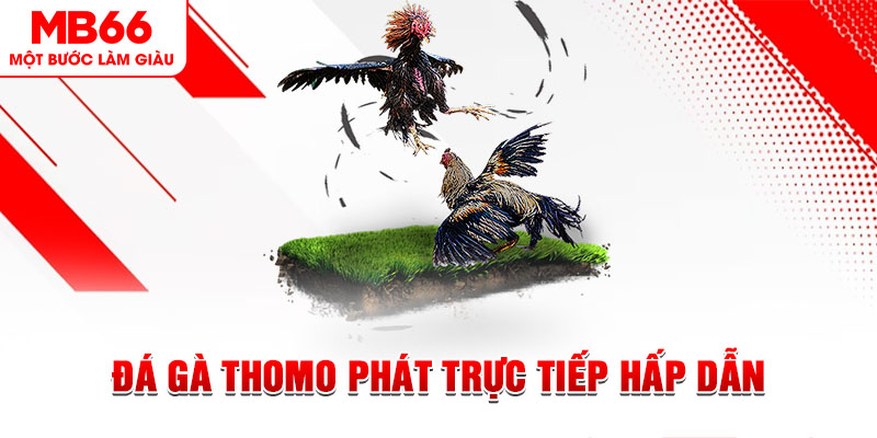 betvnd xổ số miền bắc 30 ngày