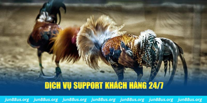 betvnd game xếp bài trên máy tính