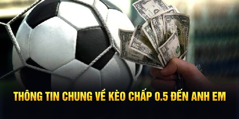 betvnd nổ hũ b29 là gì