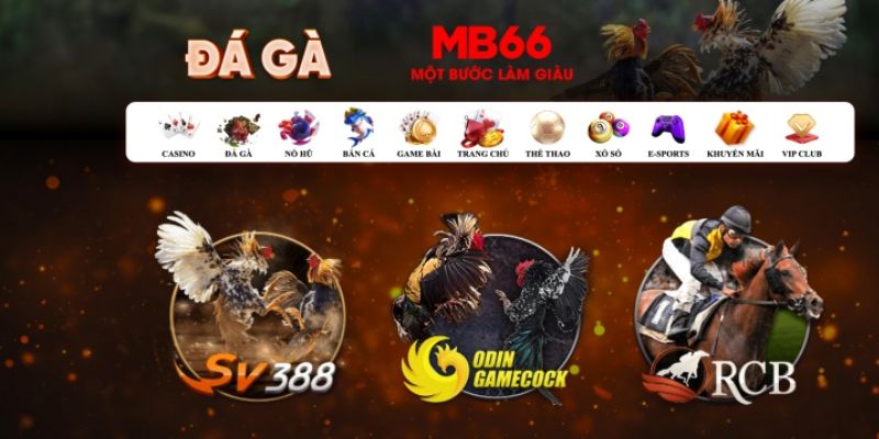 betvnd what is casino bonus wagering