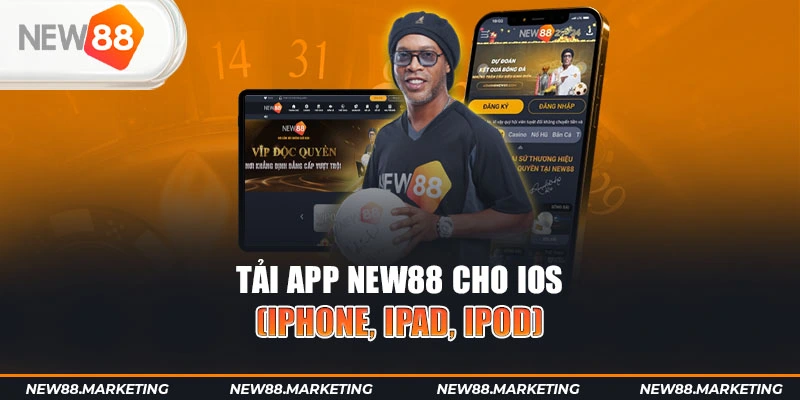 betvnd gà chọi cậu thanh