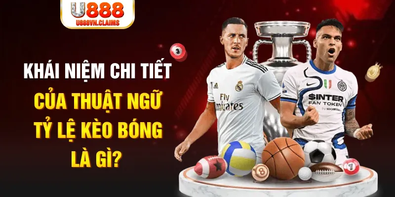 betvnd đăng nhập roulette live