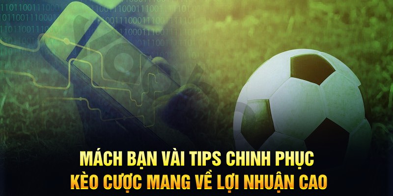 betvnd đăng nhập phỏm hàng đầu