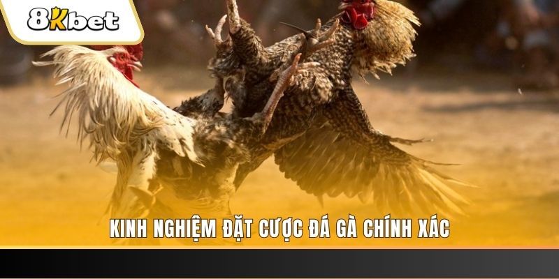 betvnd xổ số thứ bảy hàng tuần