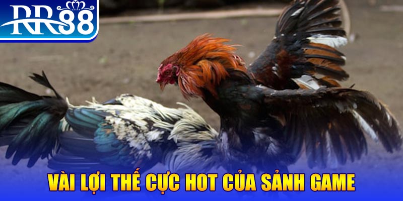 betvnd xổ số quảng nam