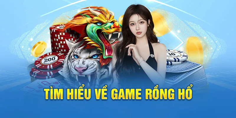betvnd baccarat có hợp pháp không