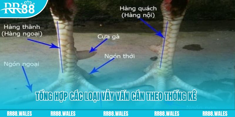 betvnd HB Điện Tử