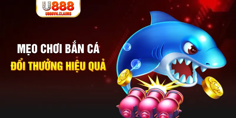 betvnd gà chọi cam ranh