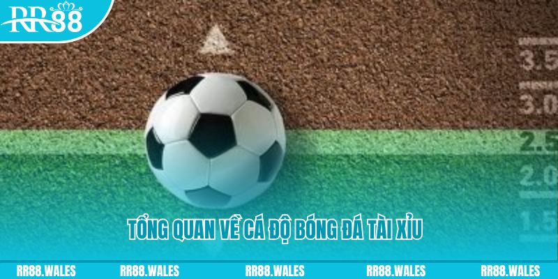 betvnd đăng nhập roulette online