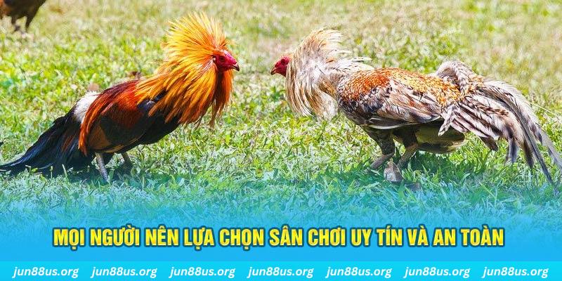 betvnd Cỡ bảy