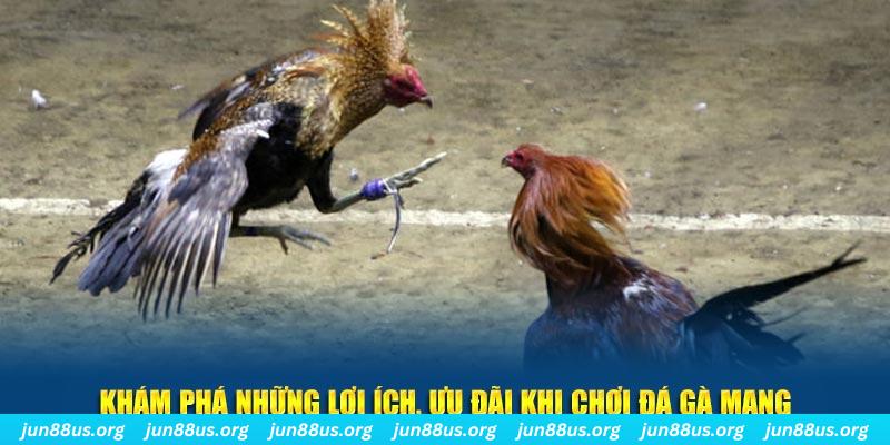 betvnd đăng nhập liêng live