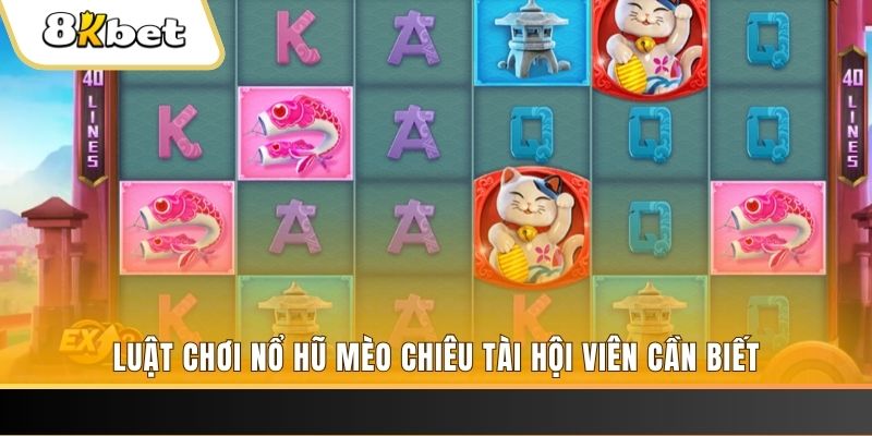 betvnd gà chọi cu cần