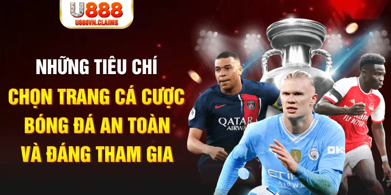 betvnd cá cược thể thao là gì