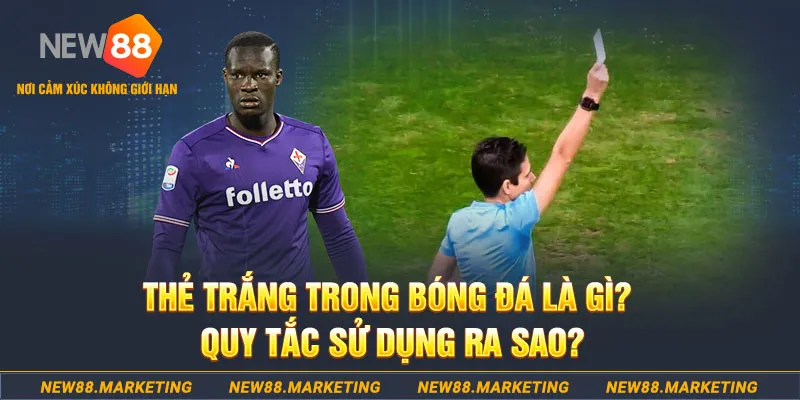betvnd đăng nhập sòng bạc hôm nay