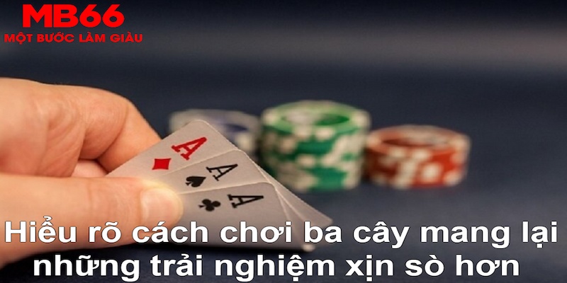 betvnd ÁT CHỦ MÁY HOA QUẢ THẦN TÀI