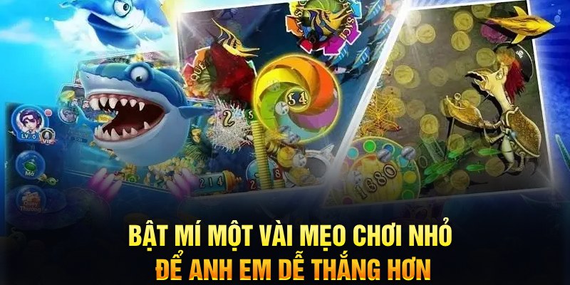 betvnd xổ số thứ ba
