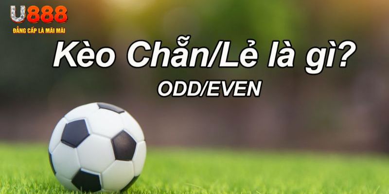 betvnd đăng nhập sòng bạc 2024