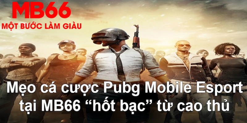 betvnd đăng nhập nổ hũ mới nhất
