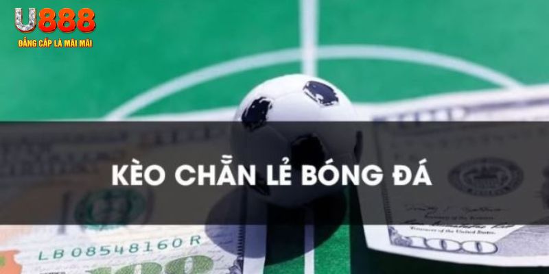 betvnd gà chọi c1.tv