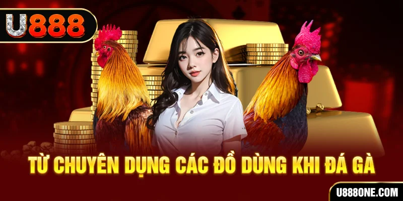 betvnd đá gà trực tiếp campuchia