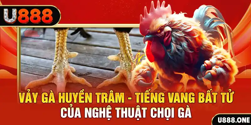 betvnd xổ số trực tiếp miền bắc